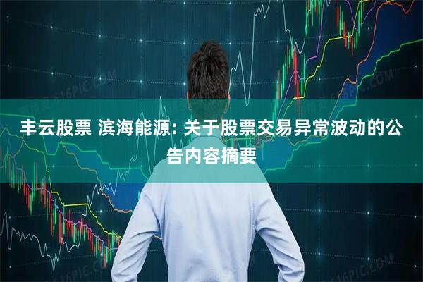 丰云股票 滨海能源: 关于股票交易异常波动的公告内容摘要