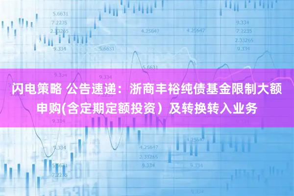 闪电策略 公告速递：浙商丰裕纯债基金限制大额申购(含定期定额投资）及转换转入业务