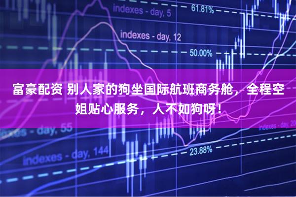 富豪配资 别人家的狗坐国际航班商务舱，全程空姐贴心服务，人不如狗呀！
