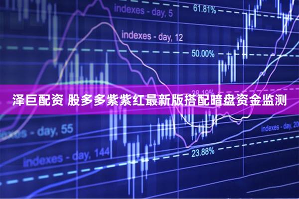 泽巨配资 股多多紫紫红最新版搭配暗盘资金监测