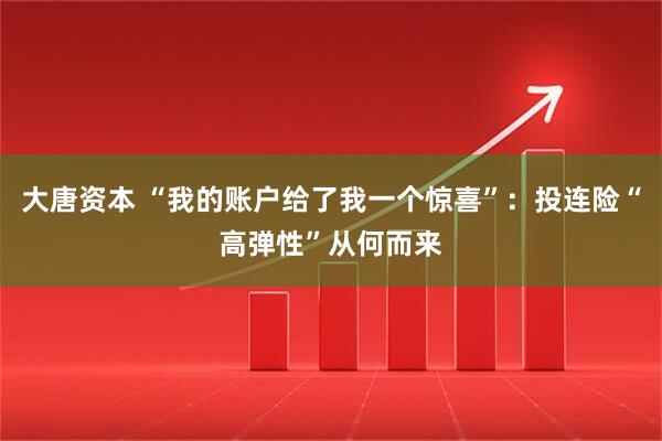 大唐资本 “我的账户给了我一个惊喜”：投连险“高弹性”从何而来