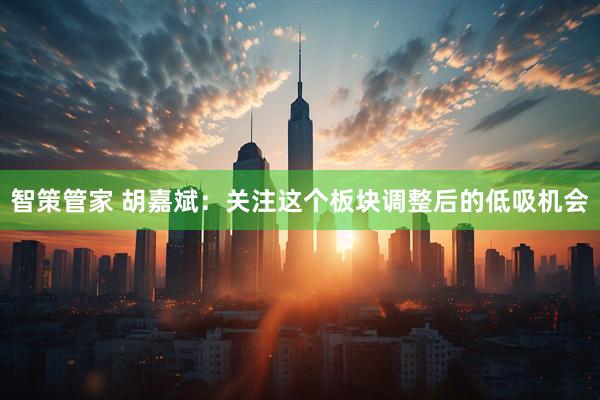 智策管家 胡嘉斌：关注这个板块调整后的低吸机会