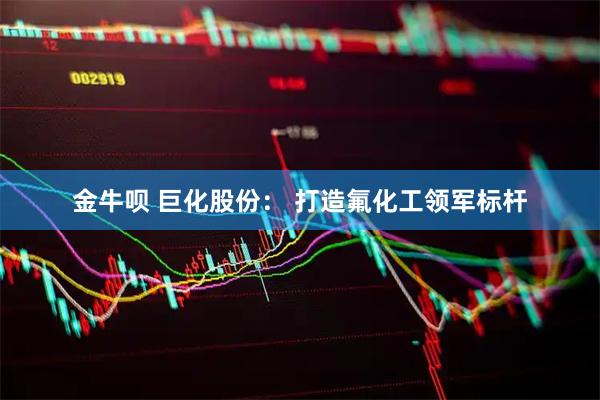 金牛呗 巨化股份： 打造氟化工领军标杆
